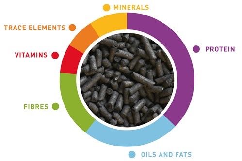 Корм для комахоїдних птахів Padovan Valman Black Pellets, 1 кг | Зображення 1