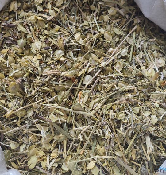 Талабан / Ярутка польова, 100г.