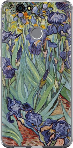 Чехол на Huawei Nova Винсент Ван Гог. Ирисы "161u-439-17620"