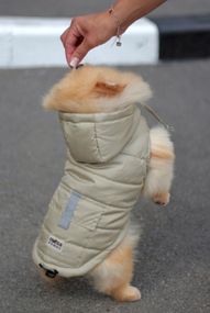 Жилет кишеня олива G-81