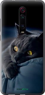 Чохол на Xiaomi Mi 9T Димчастий кіт "825t-1815-2448"