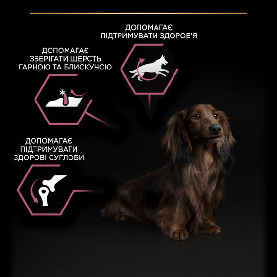 Сухий корм Purina PRO PLAN Small&MiniAdult для дорослих собак дрібних порід із чутливою шкірою, лосось 3кг | Зображення 6