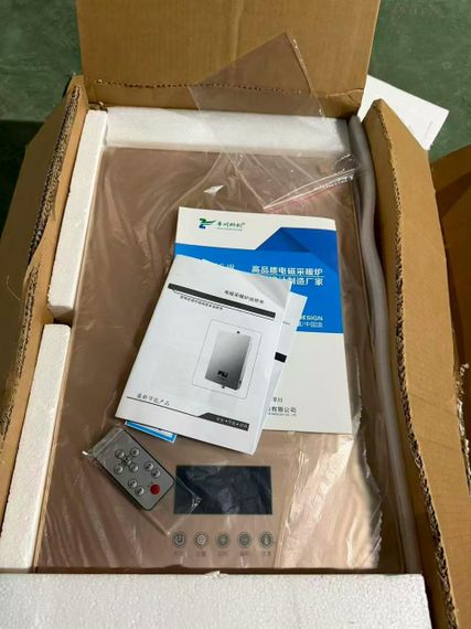 Індукційний котел REM 6 квт 220 вольт з Wi-fi | Зображення 3