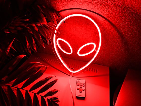 Неоновий світильник Прибулець 240х295 acr-n000003 | Зображення 7