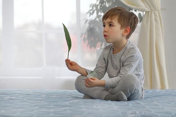 Топпер Ролл Ап 7 зон Dormeo  170х200 см | Зображення 5