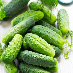 Насіння огірка Вісконсін, 0,5 кг