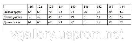Дитяча термобілизна чорна COLUMВIA на флісі, Термобілизна дитяча Коламбія на флісі, Преміум якість | Зображення 7