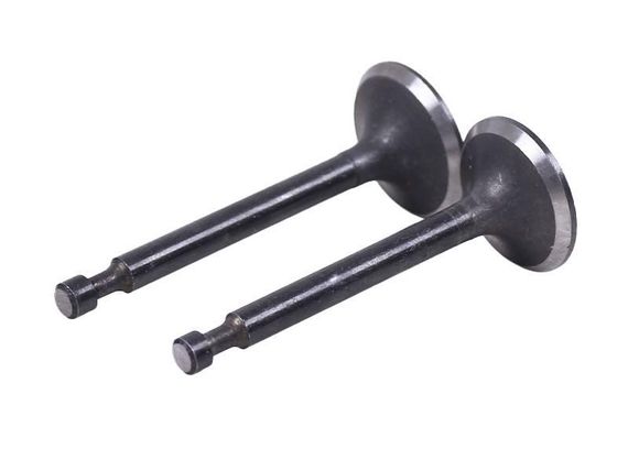 Клапани ТАТА на бензиновий двигун 168F/170F, к-т: 2 шт. | Зображення 1