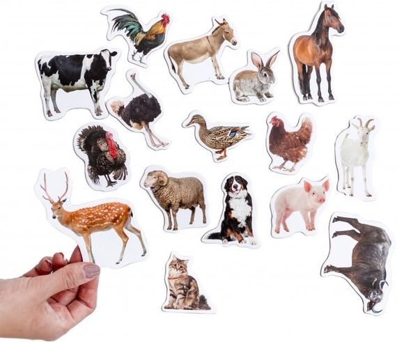 Набор магнитов Magdum "Ферма реалистичные" ML4031-04 EN | Зображення 1