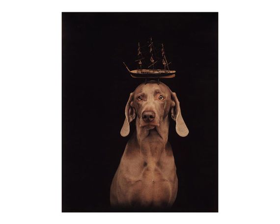 Альбомы известных фотографов книга работ Уильяма Вегмана William Wegman "Being Human" книги по фотографии | Зображення 3