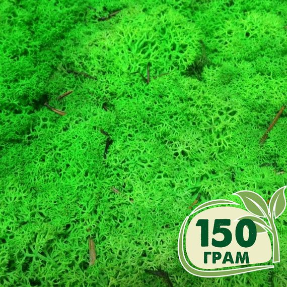 Стабілізований мох ягель Зелений трав'яний світлий 150 грам