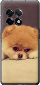 Чехол на OnePlus 11R Boo 2 "890u-2939-17620"