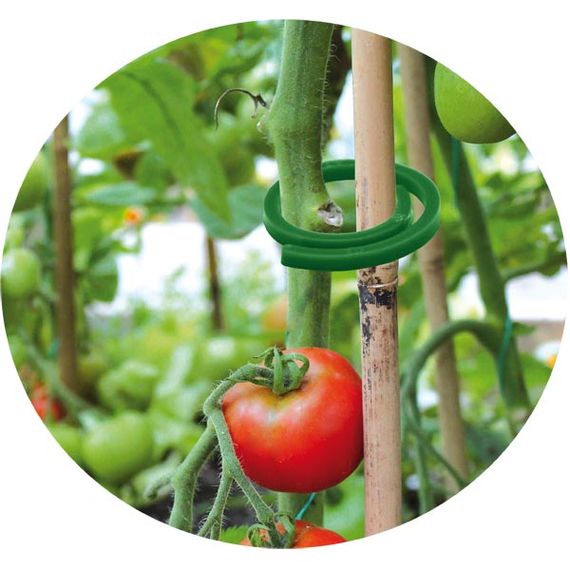 Затискачі Bradas для кріплення рослин 50 шт TYK31 | Зображення 1