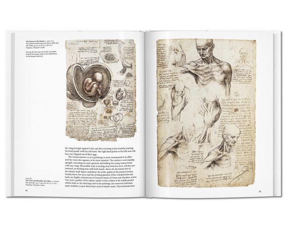 Леонардо да Винчи книга о живописи Leonardo. Frank Zöllner, Taschen История искусств великие художники книги | Зображення 5