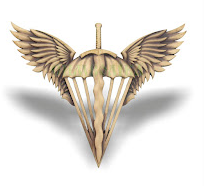 Берет + кокарда "ДШВ" (бронза) | Зображення 4