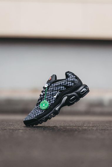 Кроссовки N-ike Air Max TN Plus France | кеды мужские