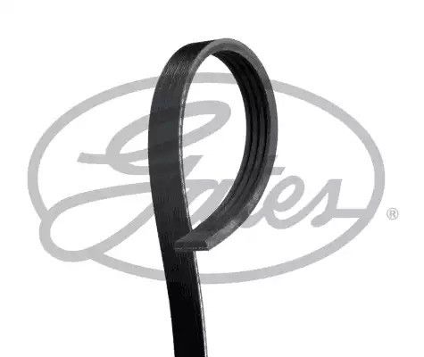 Ремінь кондиціонера Matiz 0.8 без ГУР, GATES (4PK738) (96569402) | Зображення 4