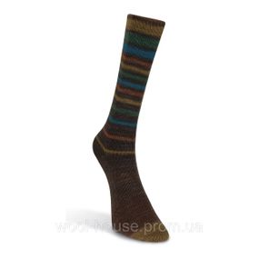 Шкарпеткова пряжа Laines du Nord Infinity Sock, 16