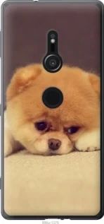 Чохол для Sony Xperia XZ2 H8266 з пластику FCh_037662