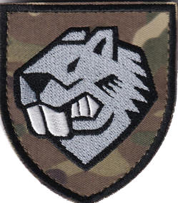 Шеврон 808 понтонно-мостовий полк / мультикам