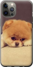 Чехол на iPhone 12 Pro Max Boo 2 "890u-2054-17620"