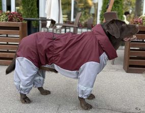 Дощовик для великих собак бордо з сiрим MB-5