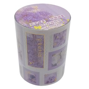 Декоративна стрічка з наліпками "Стиль Романтик" XM-JD2858-1, 6 см 2 м