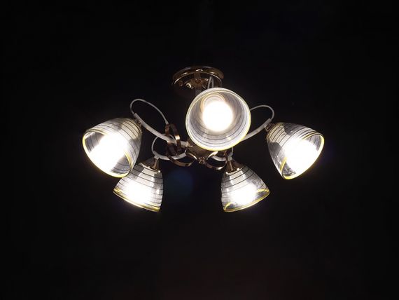 Потолочная люстра LK-728S/5 E27 WH+FG | Зображення 3
