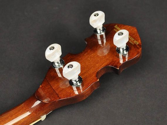 Банджо Richwood RMB-604-SS | Зображення 4