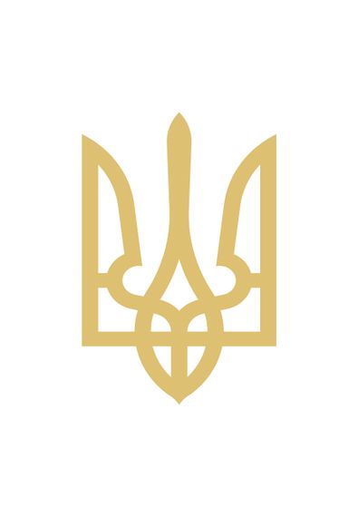 Футболка чоловіча біла з принтом "Тризуб золотий", XL | Зображення 1