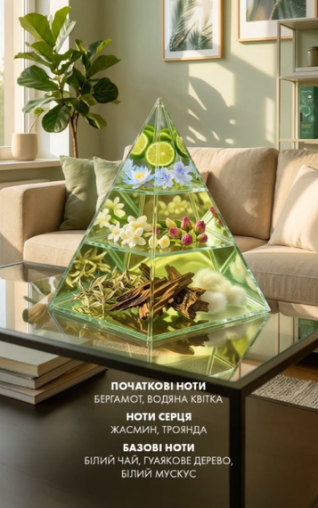 Дифузор для оселі Farmasi Bergamot &amp; Flower Smart Life 100 мл | Зображення 2