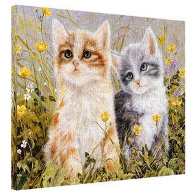 Картина на полотні Кошенята 40x50 см (H4050_ZVR005)