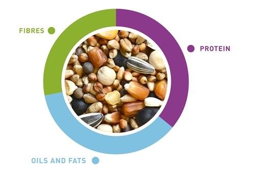 Корм для голубів Padovan NaturalMIX Colombi, 5 кг | Зображення 1