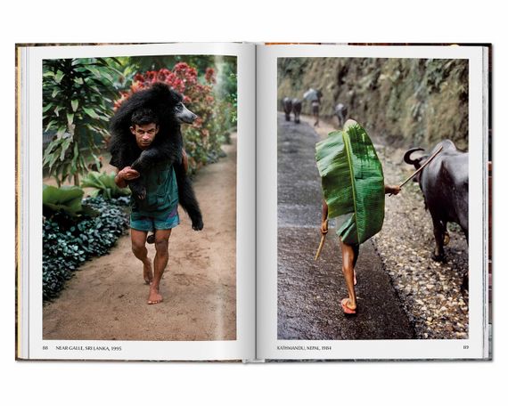 Лучшие фотографы мира подарочная книга по фотографии Стив Маккарри. Steve McCurry. Animals | Зображення 4