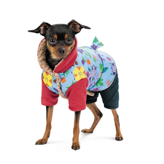 Костюм дівчинка Alisa XS для собак | Зображення 2