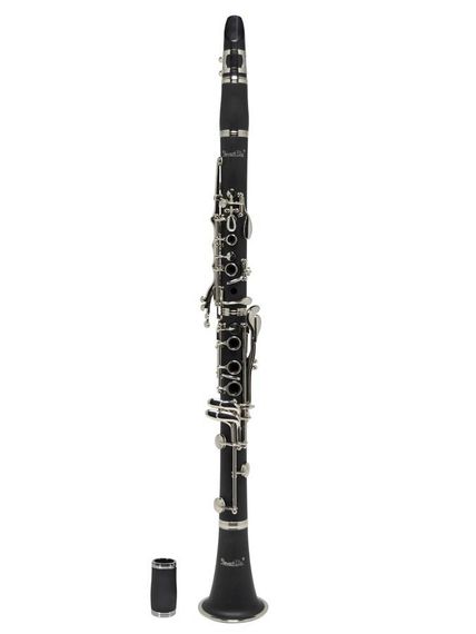 Кларнет Stewart Ellis SE-820 в комплекті з аксесуарами