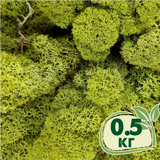 Стабілізований мох ягель Зелений світлий 0,5 кг
