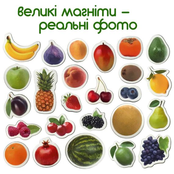 Набор магнитов Magdum "Фрукты и ягоды" ML4031-11 EN | Зображення 1