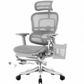 Кресло компьютерное ERGOHUMAN Plus Luxury Gray с подставкой