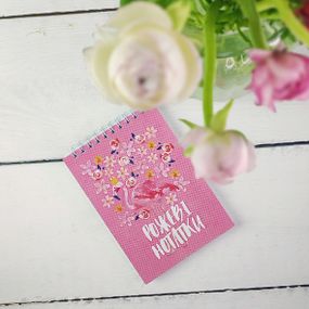 Блокнот на пружине А6 Рожеві нотатки (BL6_19D035)