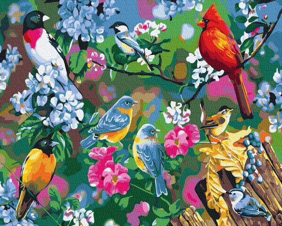 Яскраві птахи