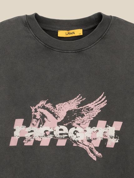 Світшот з принтом жіночий LAWA WBC02496 XS Графітовий shop (2000999613890) | Зображення 1