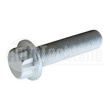 Болт шкива коленвала Renault Master 2.3 dCi 10- / Megane 2.0 dCi 01- / Scenic 1.6/2.0 dCi 04- / Trafic 1.6/2.0 dCi