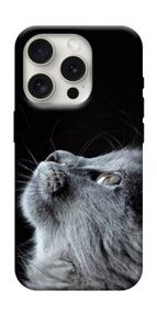 Чохол з картинкою Cute cat для Apple iPhone 16 Pro (6.3")