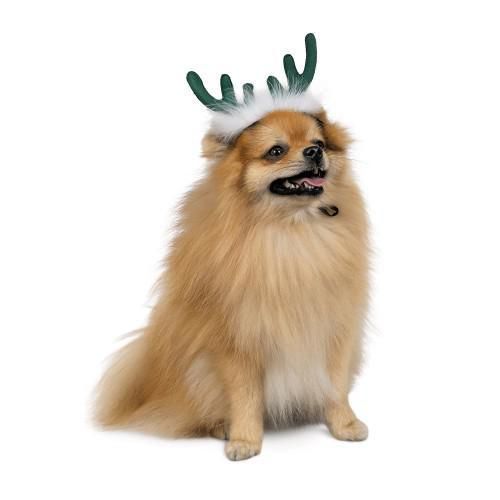 Аксессуар-рожки Pet Fashion "Deer" для собак, размер M-L, зеленые | Зображення 1