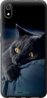 Чохол на Xiaomi Redmi 7A Димчастий кіт "825u-1716-2448"