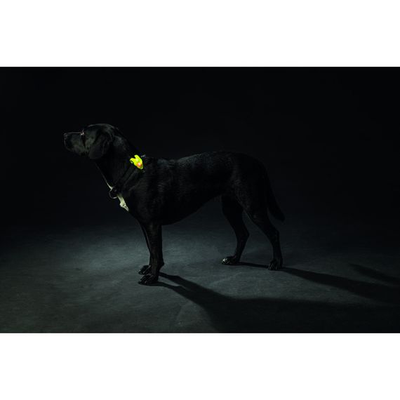 Брелок-ліхтарик Trixie для собак з водовідштовхувальним покриттям силікон 8х2,4 см | Зображення 3