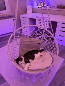 Подвесное кресло-кокон "Urban Nest" Качели