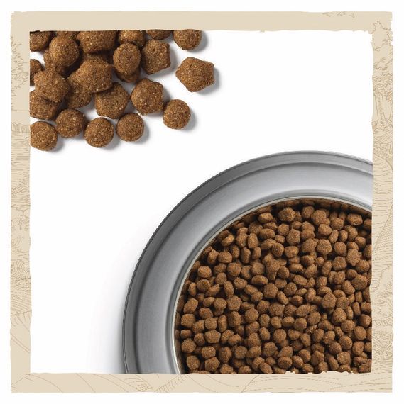 Сухий корм для цуценят великих порід Dog Chow Puppy Large Breed 14 кг | Зображення 5