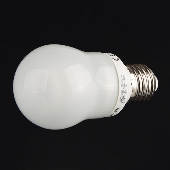Лампа энергосберегающая 15W/864 E27 CW G55 (PL-SP) 220V